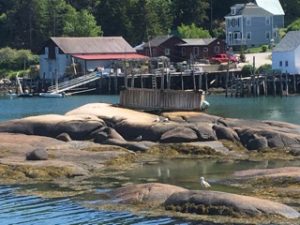 Stonington, Maine