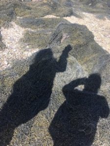 Shadows