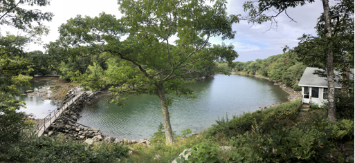 Back Cove