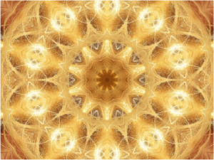 Light Web